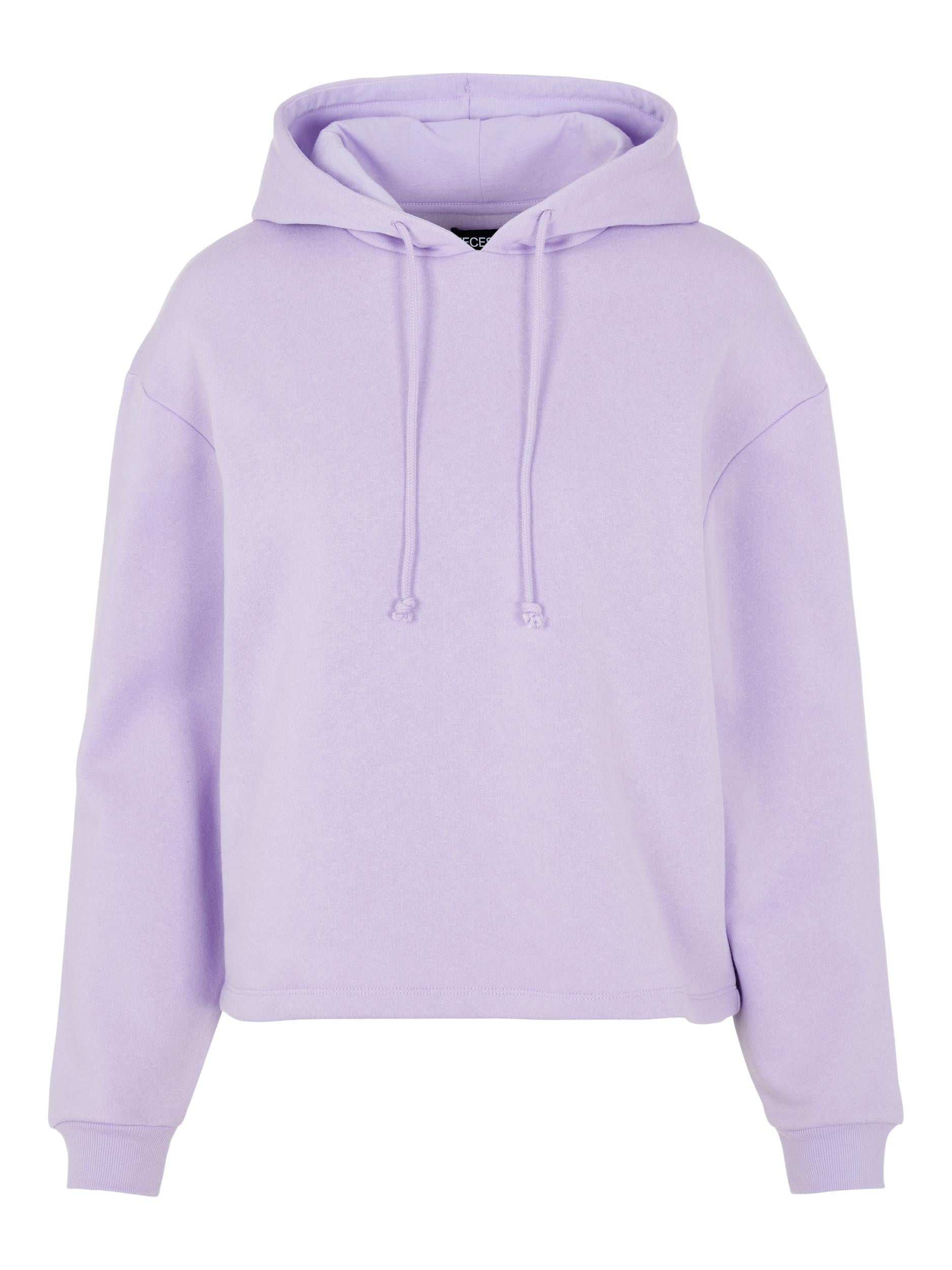 PCCHILLI LS HOODIE NOOS BC – Didrik